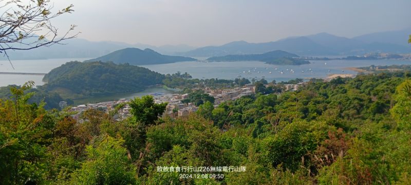IMG_20241211_5950.jpg