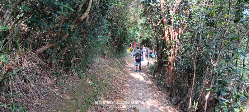 IMG_20241211_45.jpg