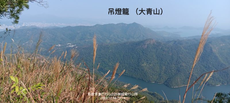 IMG_20241211_0442.jpg