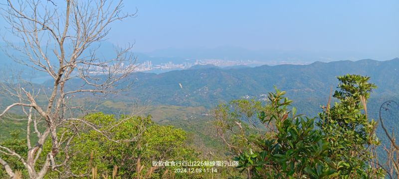 IMG_20241211_06.jpg