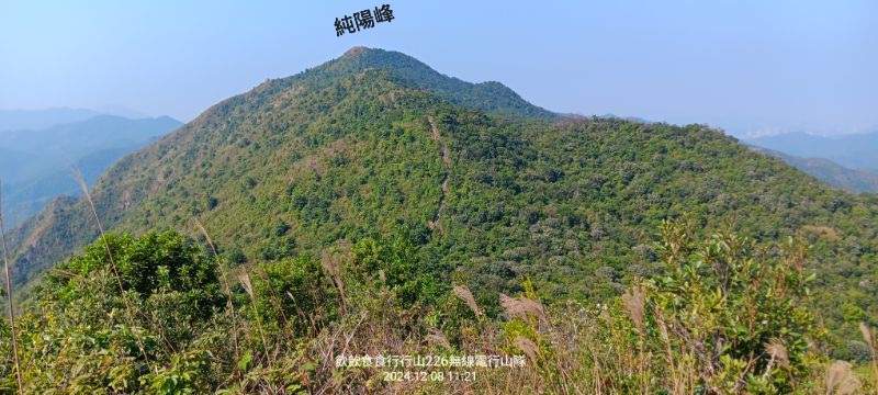IMG_20241211_56842.jpg