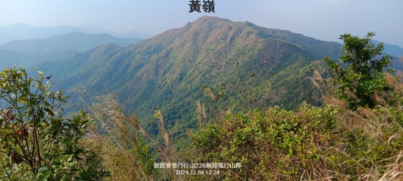 IMG_20241211_52192.jpg