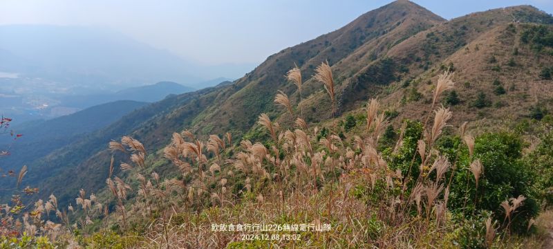 IMG_20241211_49198.jpg