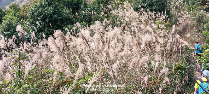 IMG_20241211_48780.jpg