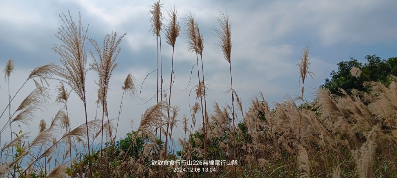 IMG_20241211_48436.jpg