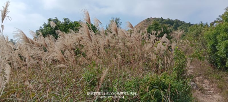 IMG_20241211_4897.jpg