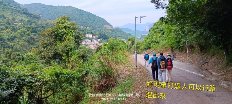 IMG_20241216_2774.jpg