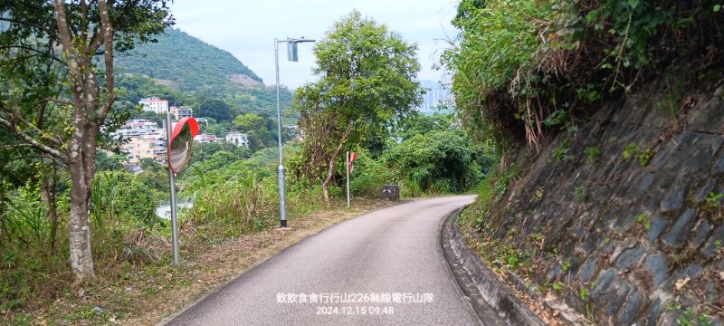 IMG_20241216_26684.jpg