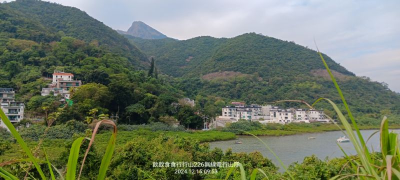 IMG_20241216_25371.jpg