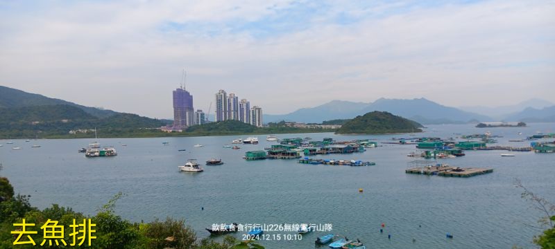 IMG_20241216_2029.jpg