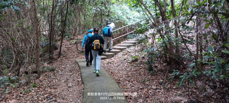 IMG_20241216_32137.jpg