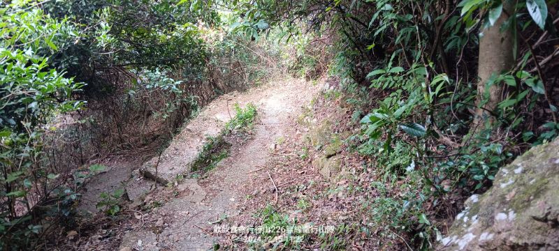 IMG_20241216_29345.jpg