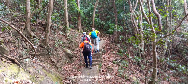 IMG_20241216_28664.jpg