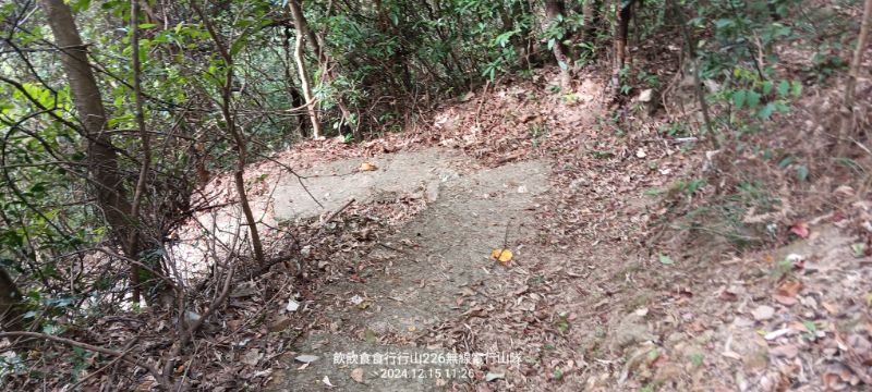 IMG_20241216_28318.jpg