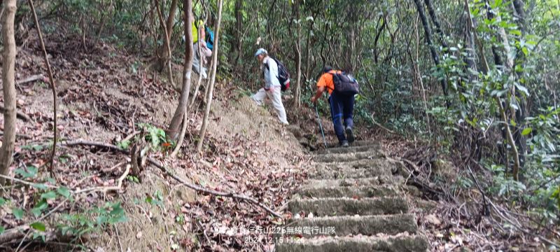 IMG_20241216_27936.jpg