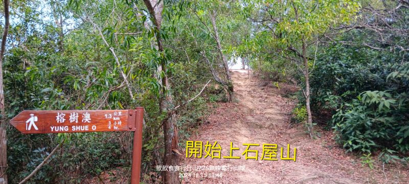 IMG_20241216_25125.jpg