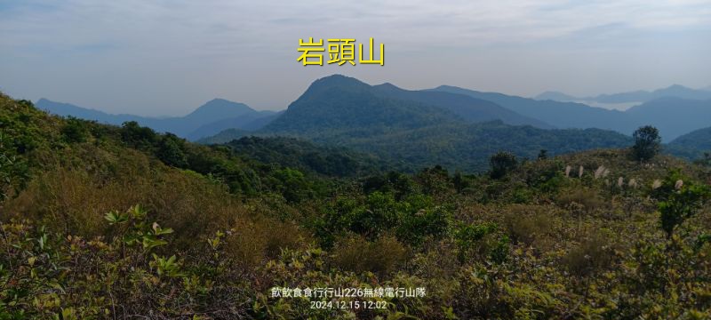 IMG_20241216_21621.jpg