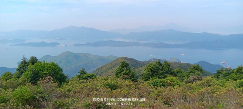 IMG_20241216_19501.jpg
