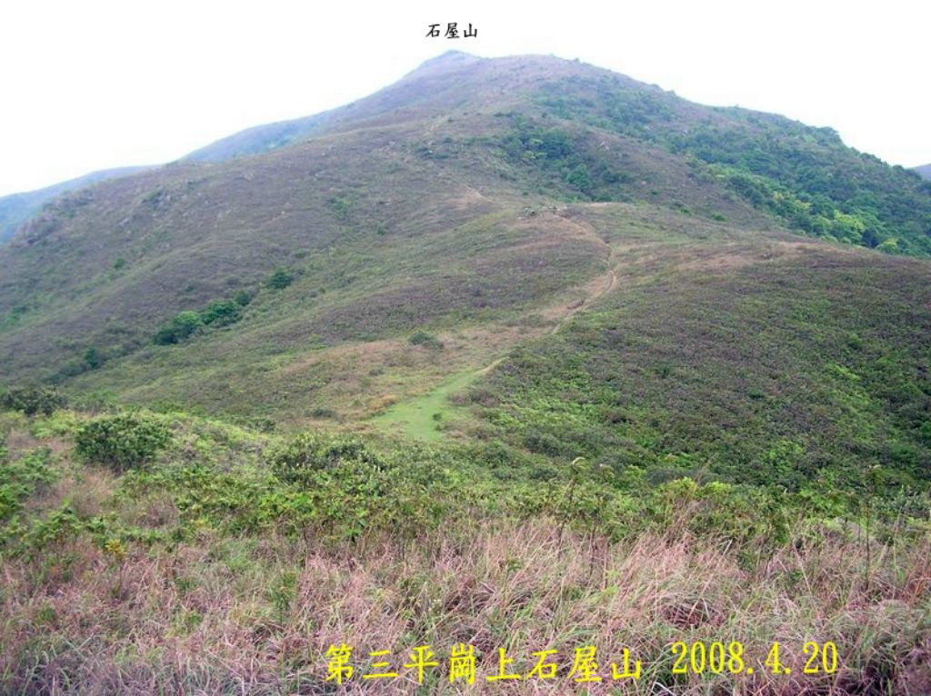 IMG_20241219_9984.jpg