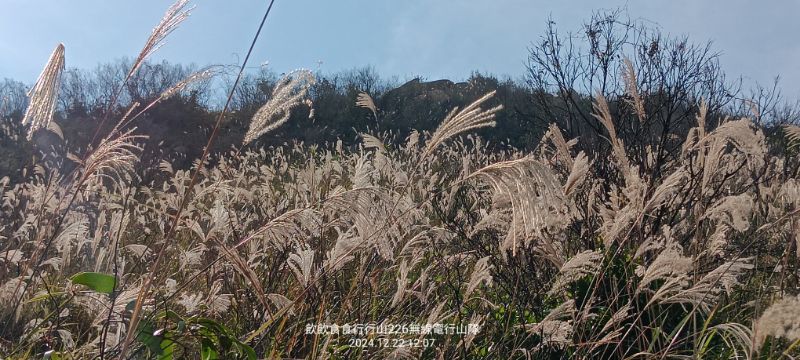 IMG_20241222_32193.jpg