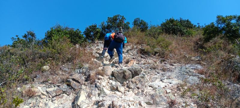 IMG_20241231_42659.jpg
