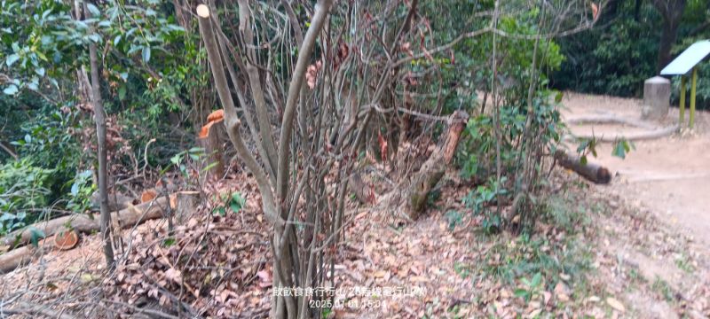 IMG_20250101_34182.jpg