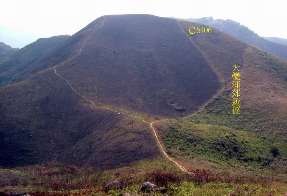 1392.jpg