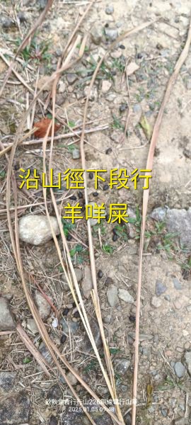IMG_20250106_29682.jpg