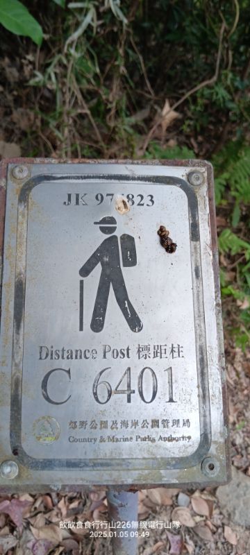 IMG_20250106_2925.jpg