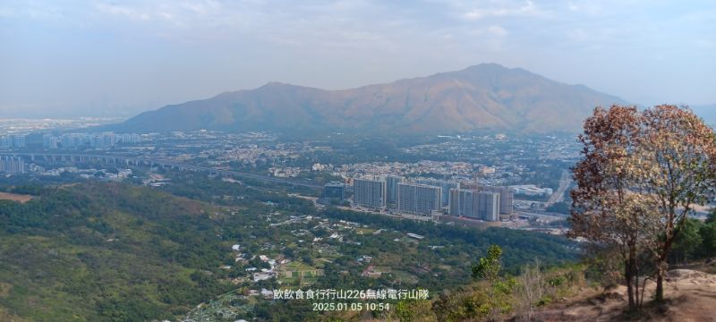 IMG_20250106_19577.jpg