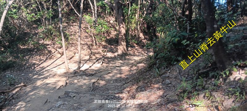 IMG_20250113_1217.jpg