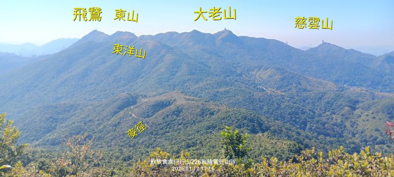 IMG_20250113_8370.jpg