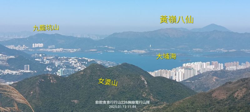 IMG_20250113_4905.jpg