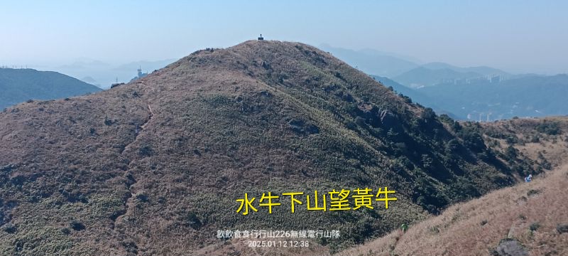 IMG_20250113_0730.jpg