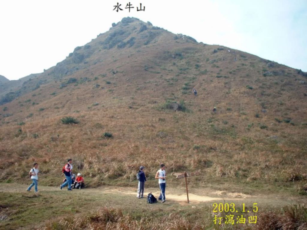 IMG_20250115_11190.jpg