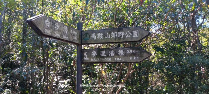 IMG_20250113_57903.jpg