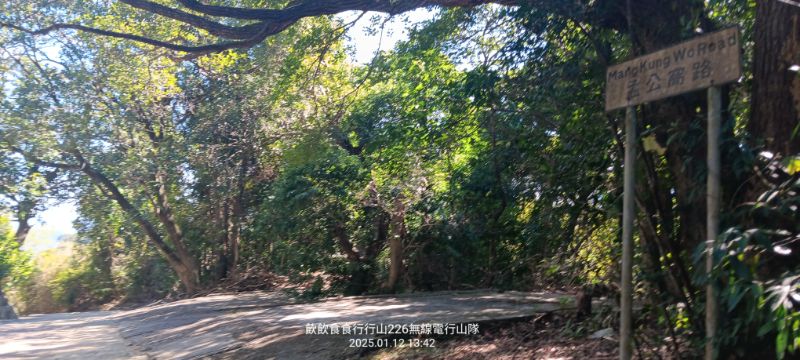 IMG_20250113_55388.jpg