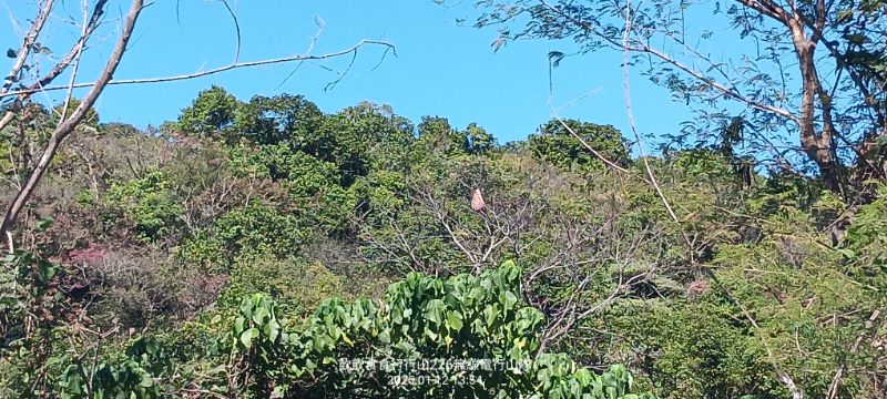 IMG_20250113_5586.jpg