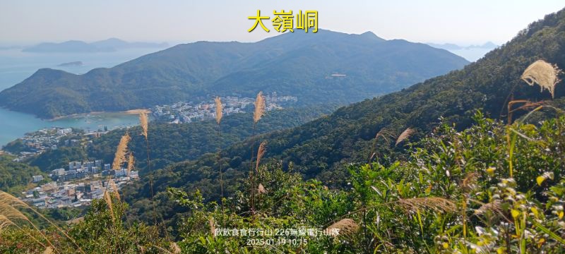 IMG_20250120_2135.jpg