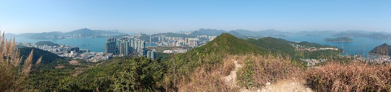 IMG_20250120_39285.jpg
