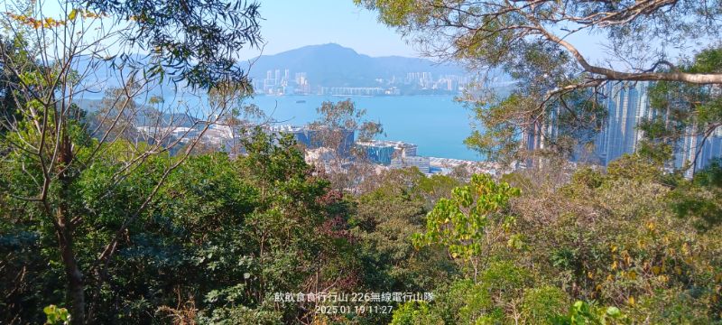 IMG_20250120_32228.jpg