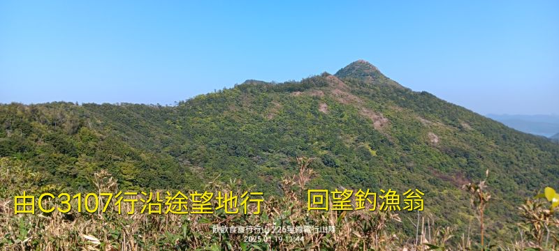 IMG_20250120_30862.jpg