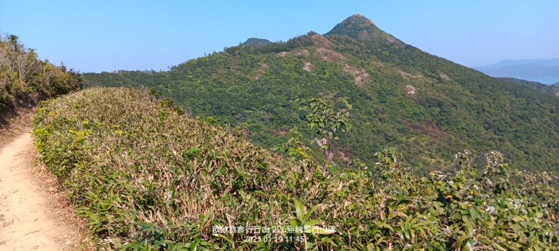 IMG_20250120_29844.jpg