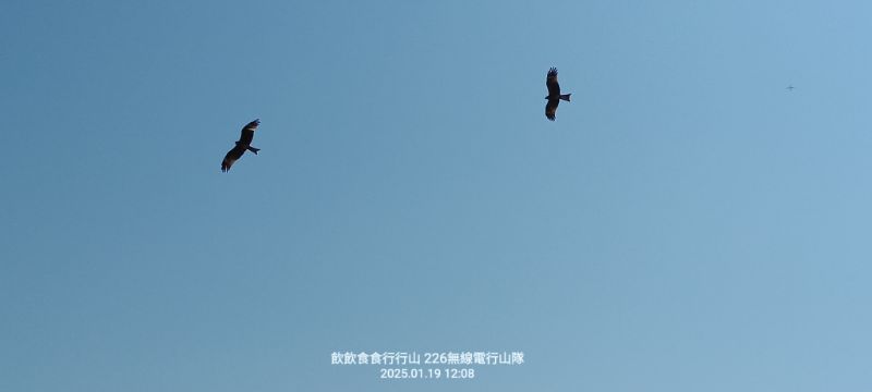 IMG_20250120_272.jpg