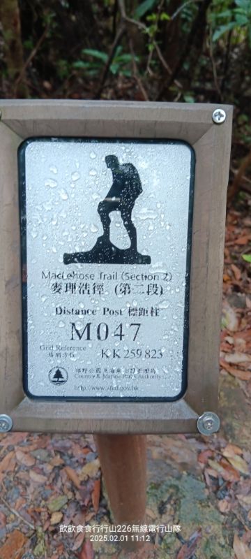 IMG_20250207_21717.jpg