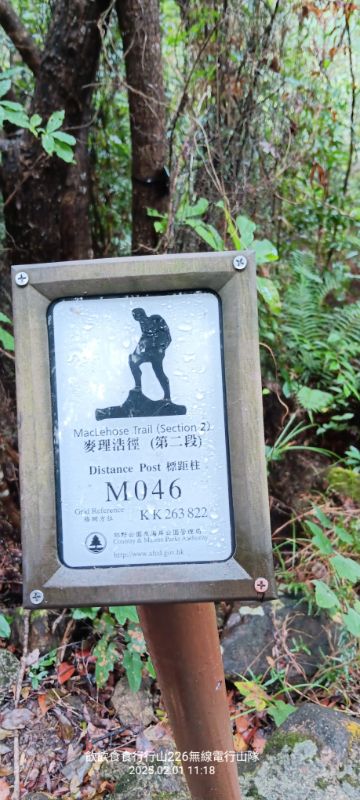 IMG_20250207_21211.jpg