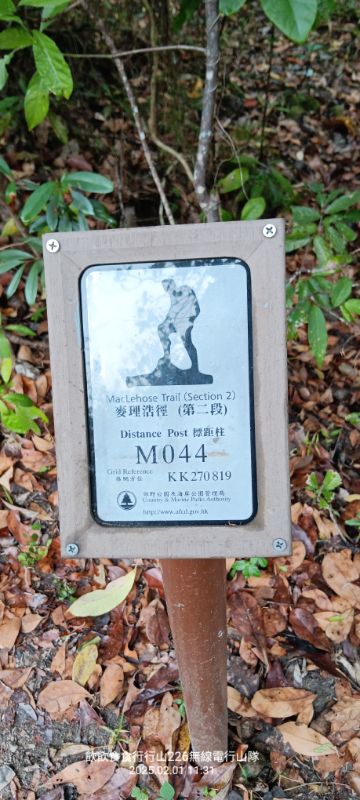 IMG_20250207_20328.jpg