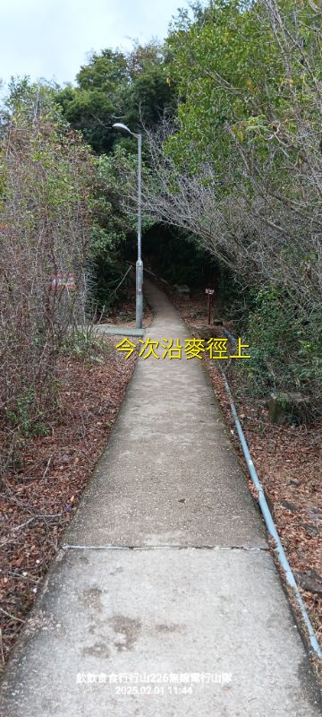 IMG_20250207_16463.jpg