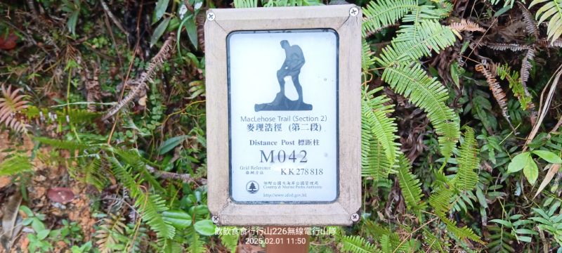 IMG_20250207_15783.jpg
