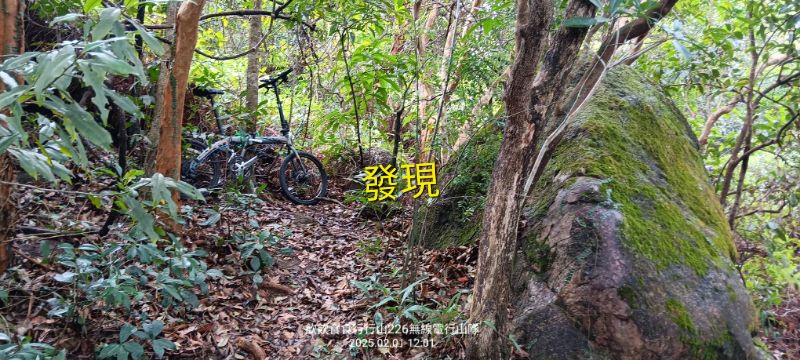 IMG_20250207_14759.jpg